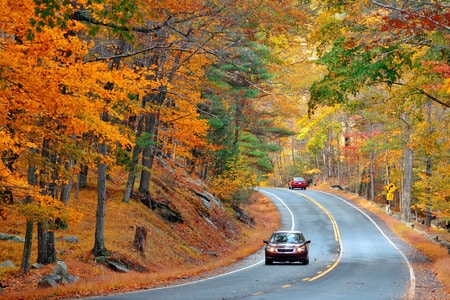 Two cars on a forest road with fall colors.