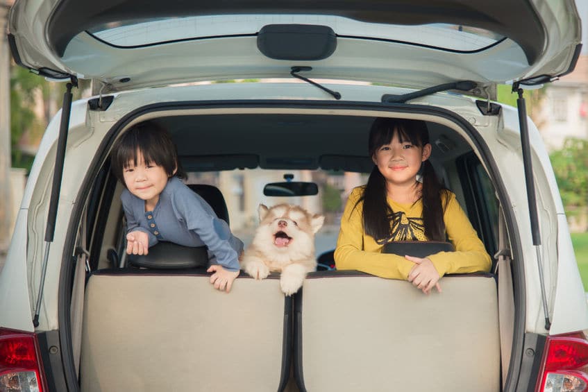 2 kids and dog in the back seat of a car