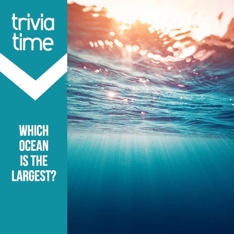 Trivia time - Which ocean is the largest?