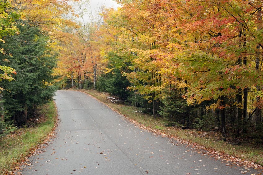 Empty road with trees in fall colors